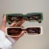 New Luxury Brand Designer Small Frame Rectangle Sunglasses Women For Men Vintage Sun Glasses Popular Punk Leopard Shades UV400