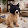 Noise Reduction Dog Pacify Eye Mask Light Blocking Anti Startle Dog Placate Headgear Stabilization Comfort Fit