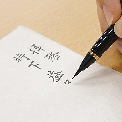 Kuretake Fountain Brush Pen, Maki-e Monogatari (Story of Maki-e) - Cherry Blossom Garden, Black, DU184-715