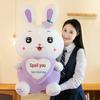 Cute Fruit Heart Rabbit Plush Pillow - Large Doll Children's Sleep Gift