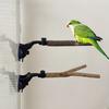 Parrot Perch Stand with Suction Cup Relieve Boredom Natural Wood Birds Toy for Cockatoo Macaw Parakeet
