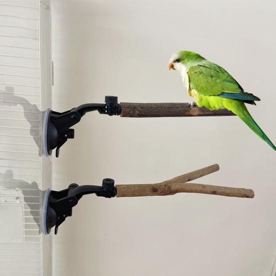 Yousheng Parrot Perch Stand with Suction Cup Relieve Boredom Natural Wood Birds Toy for Cockatoo Macaw Parakeet