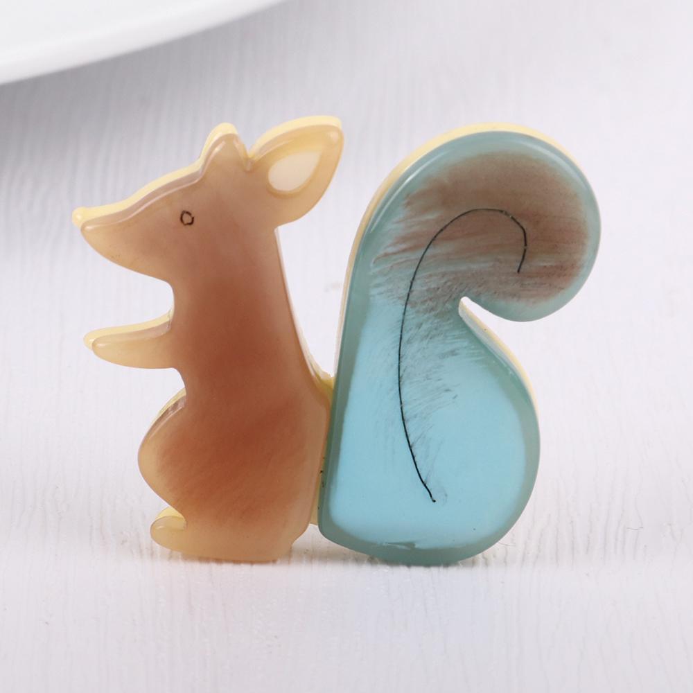 Cute Cartoon Acrylic Squirrel Brooches Badges for Women 2025 Kawaii Animal Resin Brooch Lapel Pins Accessories Jewelry Gifts