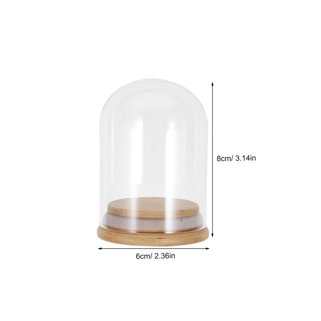 6Pcs Glass Cloche Dome Display Case 2.8x2 Inch Clear Dome with Wooden Base Dustproof Display for Preserved Flowers Wedding
