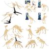 Realistic Archaeological Dinosaur Skeleton Model Diy Assembly Kit For Kids Toys