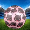 1pc Kawaii Cat Icon Size 5 Soccer Ball Professional Match Training Football Indoor &Outdoor Sports Ball Lightweight Durable c6599