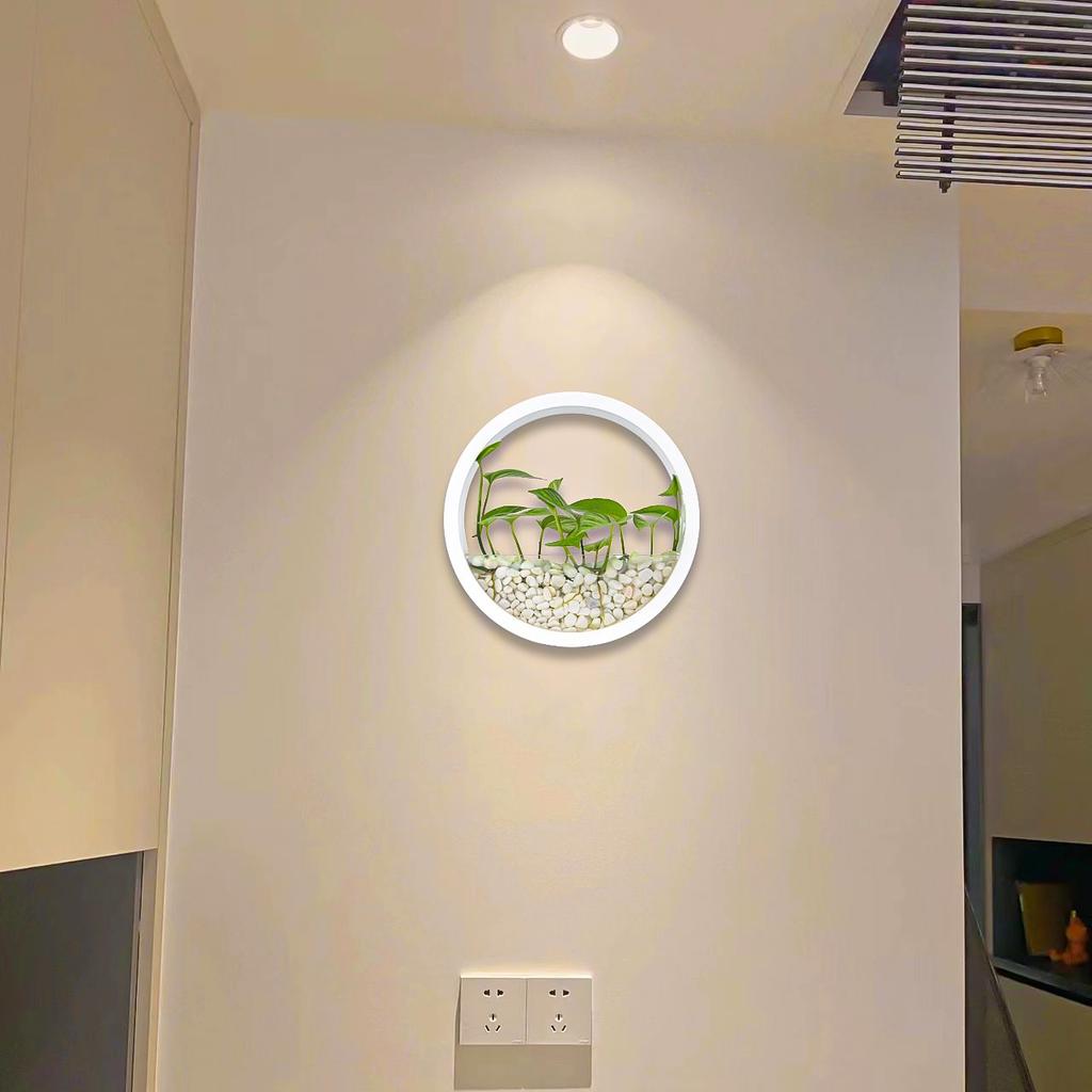 Round Hanging Wall Vase Planters for Succulents Flower Pot Wall Planters for Plants,Succulent Plant,Small Cactus,Home Wall Decor