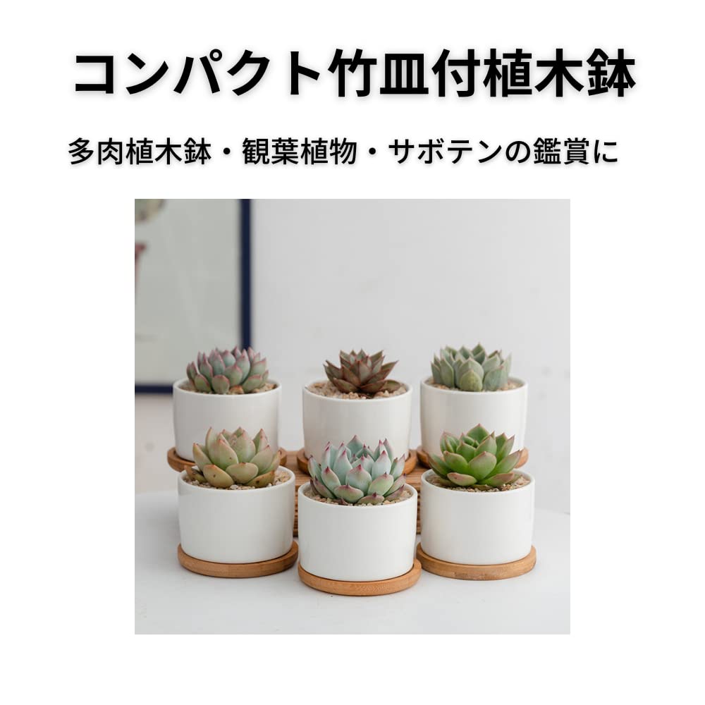 Riblind Succulent Ceramic Cactus Mini Suitable for Mini Ceramic No Bamboo Plate Included of Pot, Pot, Pot, Pot, Plants, White, Plant, (Set 4)