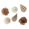 Parrots Grinding Chew Toy Wood Chew Training Supplies Natural Wood Rattan Molar Toy for Pet Bird Tearing Grinding