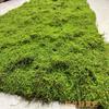 Luxury Simulated Moss Plastic Indoor Landscape Turf Artificial Green Eco-friendly UV Varnished Customized Installation Window