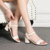 Fashion Hot Selling 2025 Summer New Square Head Pure Color Temperament Women Fashion Sandals Buckle Low Heel Women's Shoes High-end