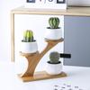 Plant Shelves Flower Display Stand Creative Succulent Plant Owl Pumpkin Bamboo Frame Ceramic Flowerpot Plant Tray