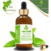 Pure Herbs Catnip 100% Pure & Natural Nepeta Cataria Essential Oil ZA 271