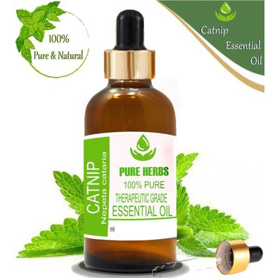 Pure Herbs Catnip 100% Pure & Natural Nepeta Cataria Essential Oil ZA 271