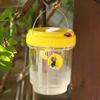 Bee Trap Insect Fruit Fly Wasp Catcher Lure Waterproof Outdoor Hanging Trap Clear Traps Box Catcher Pest Control Tools