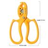 2-in-1 Floral Scissors | Stainless Steel Gardening Shears, Rose Thorn Remover, Flower Branch Pruning Shears for Florists & Flower Arranging - 1pc