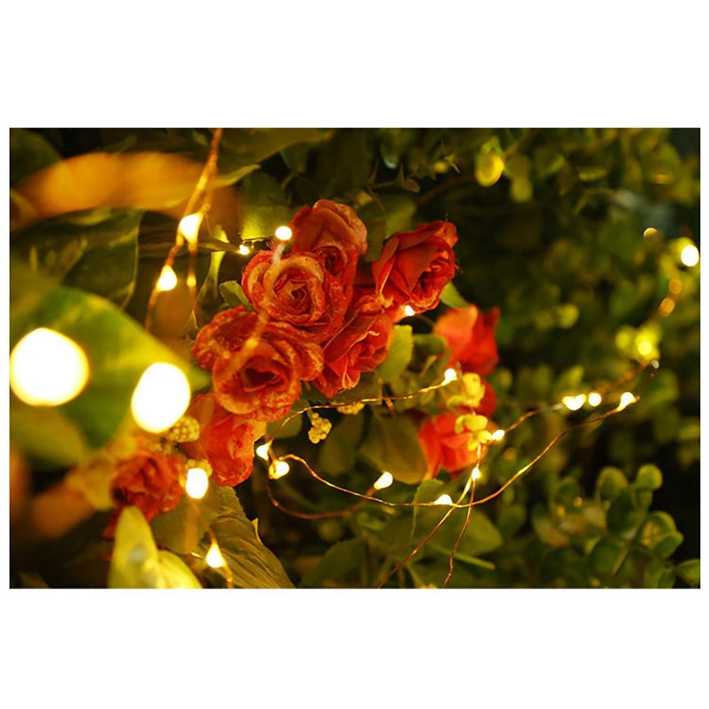 Constant Bright Copper Wire Lamp Battery Box 2m20 Lamp Holiday String Lights