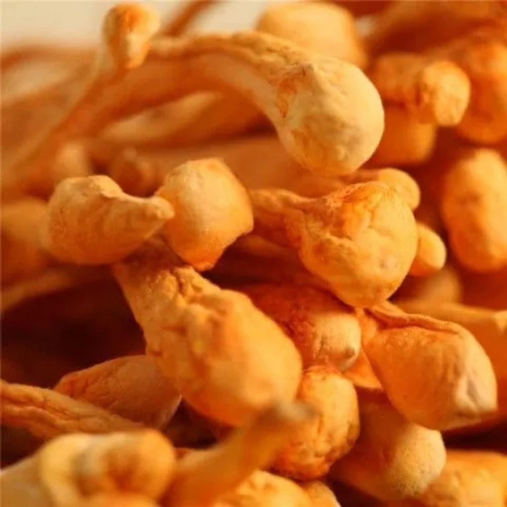 250g Bio Cordyceps Sinensis Dried Herb Natural Energy Booster Tea