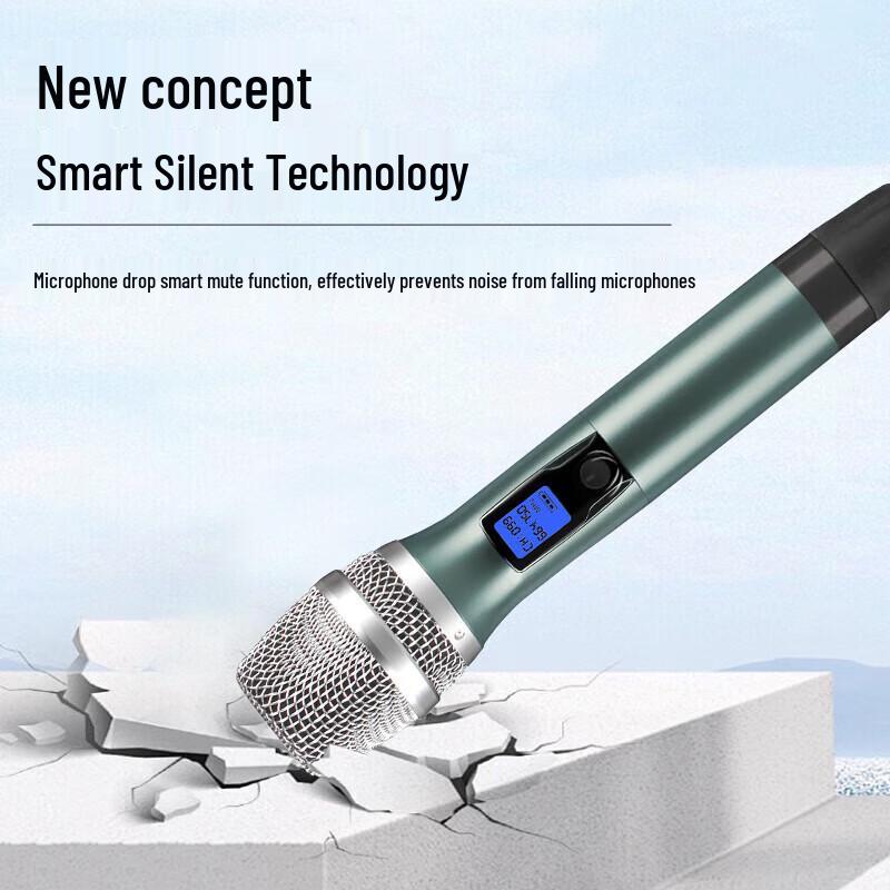 HuiDu QH-802 Professional Dual Wireless Microphone System (CN version)