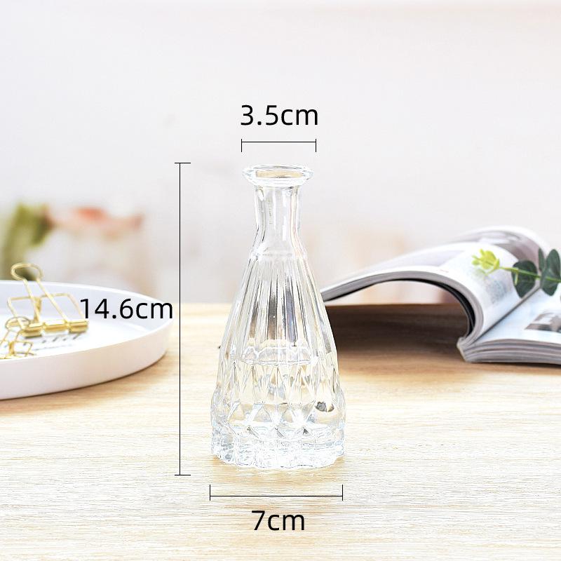 European Glass Vase for Fresh or Dried Flowers - Elegant Hydroponic Decoration Ornament