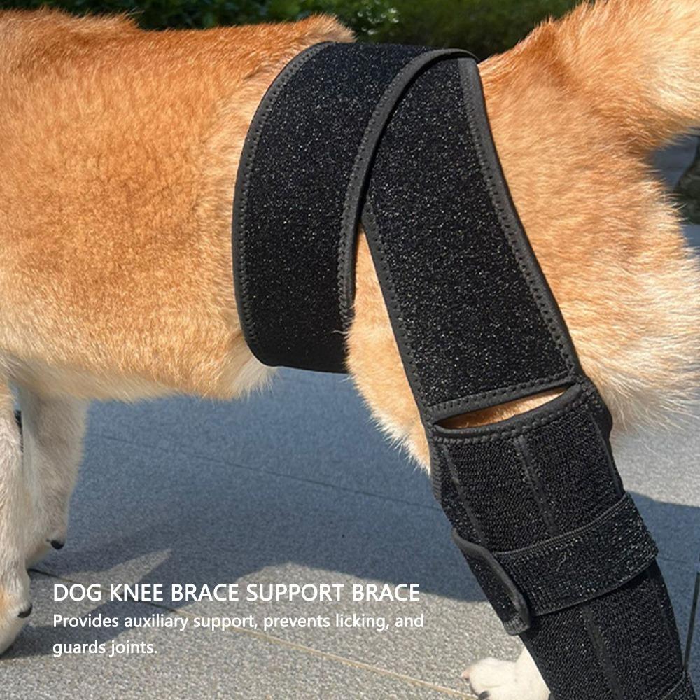 Flexible Dog Knee Brace Breathable Pet Recovery Bandage Pet Leg Support Leg Injury Care