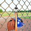 Dugout-organisatör Dugout-utrustningshängare Dugout-organisatören Baseboll Softball Håller slagträn Hjälmar Handskar Fästs på vilket staket som helst