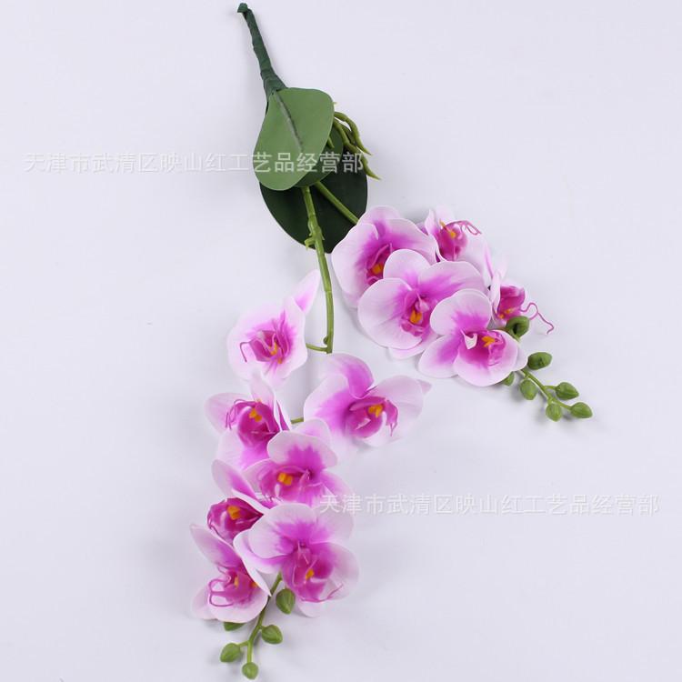 2-Fork small Phalaenopsis, feel film Phalaenopsis, simulated Phalaenopsis