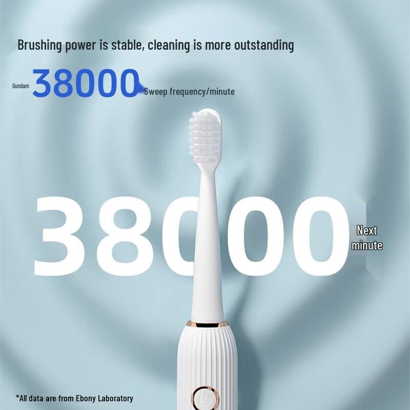 Ebonee P2A Series Disinfecting Sonic Electric Toothbrush