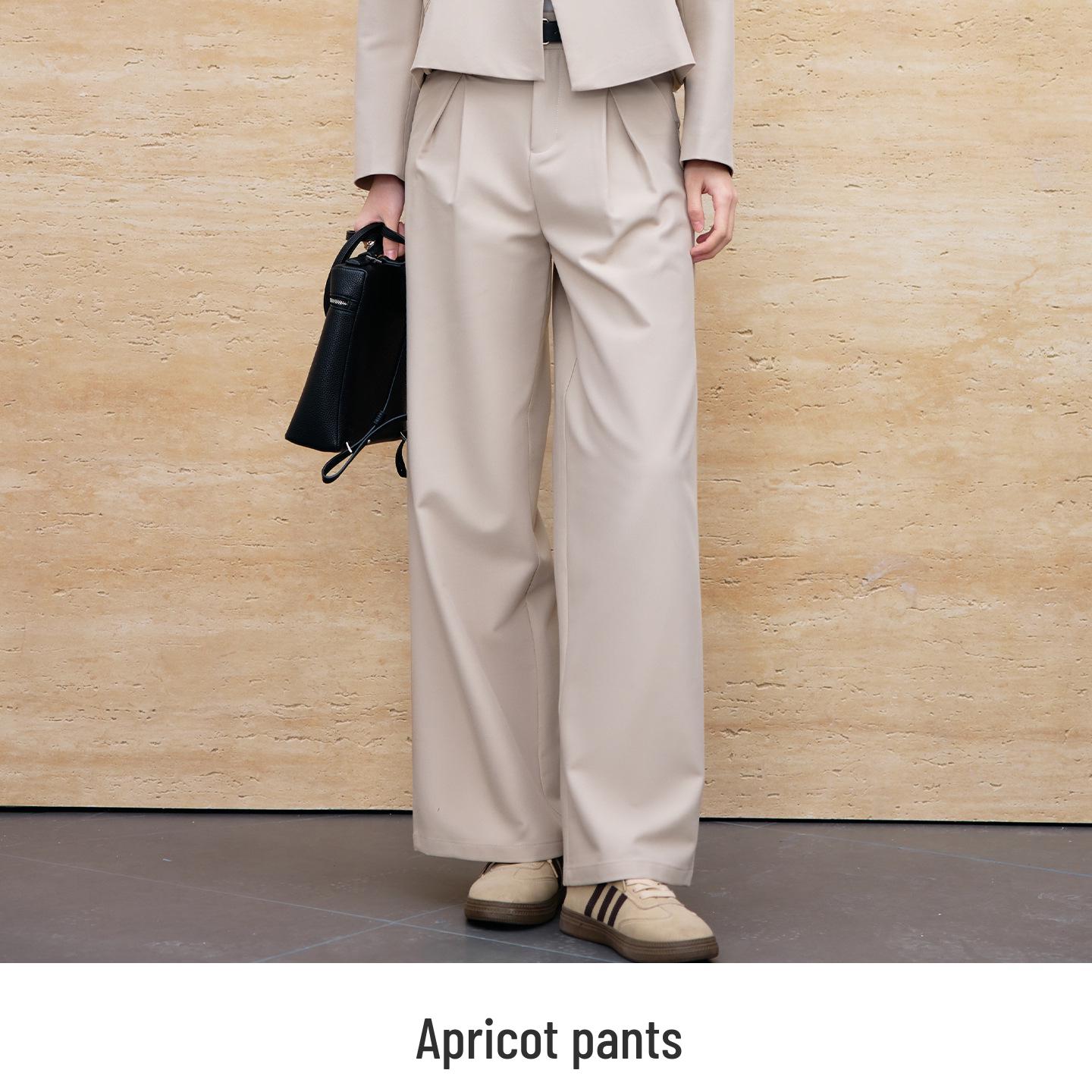 

Women s Spring Casual Two-Piece Set: Short Suit Jacket & Loose Wide-Leg Pants Medium
