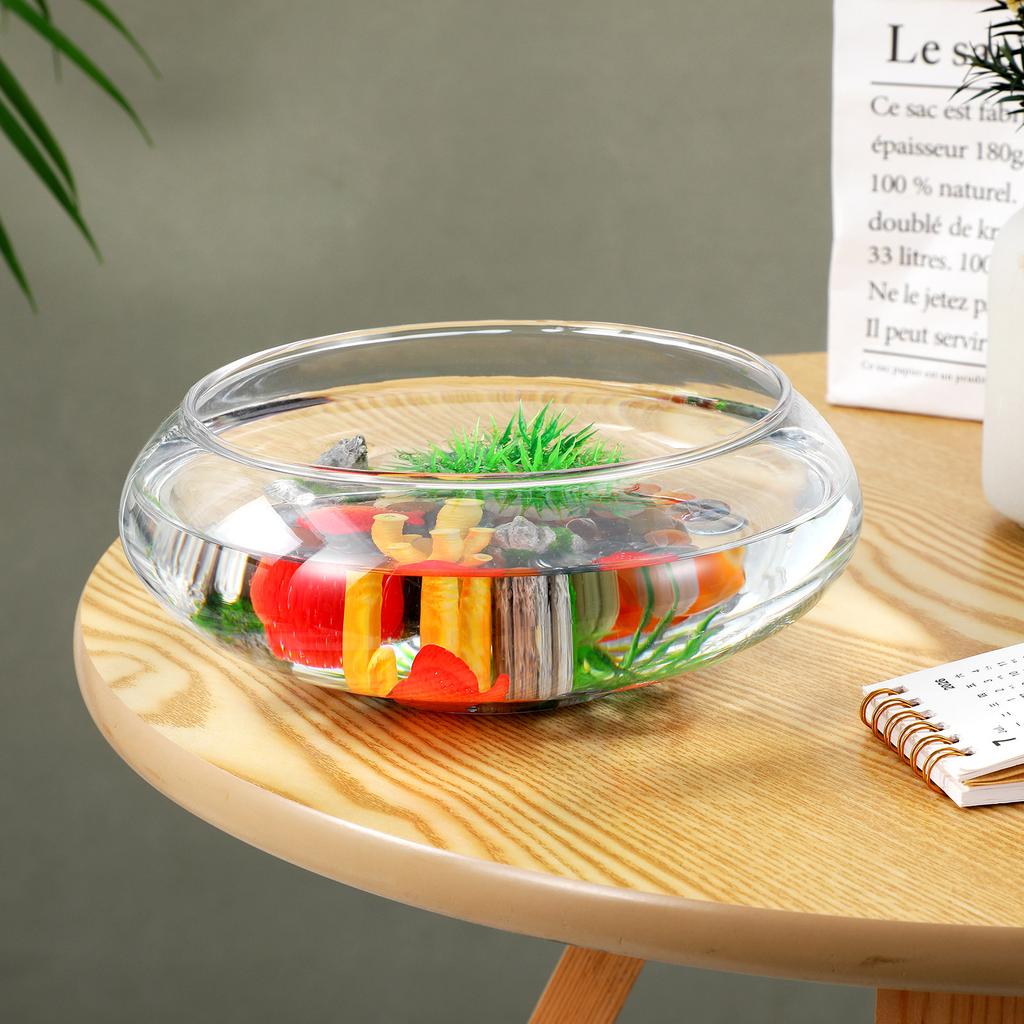 Glass Succulent Planter Pot Small Round Clear Flowerpot for Desk Garden Decor Air Plant Container Hydroponic Holder Micro