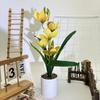 Cymbidium Rolfe Faberi Flusssteine Bonsai Simulierte Blume Topf Für Deko Hotel