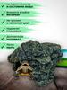 Live Turtle Sunbathing  Pet Climbing  Turtle Climbing Rockery Water Turtle Sunbathing Turtle Cave