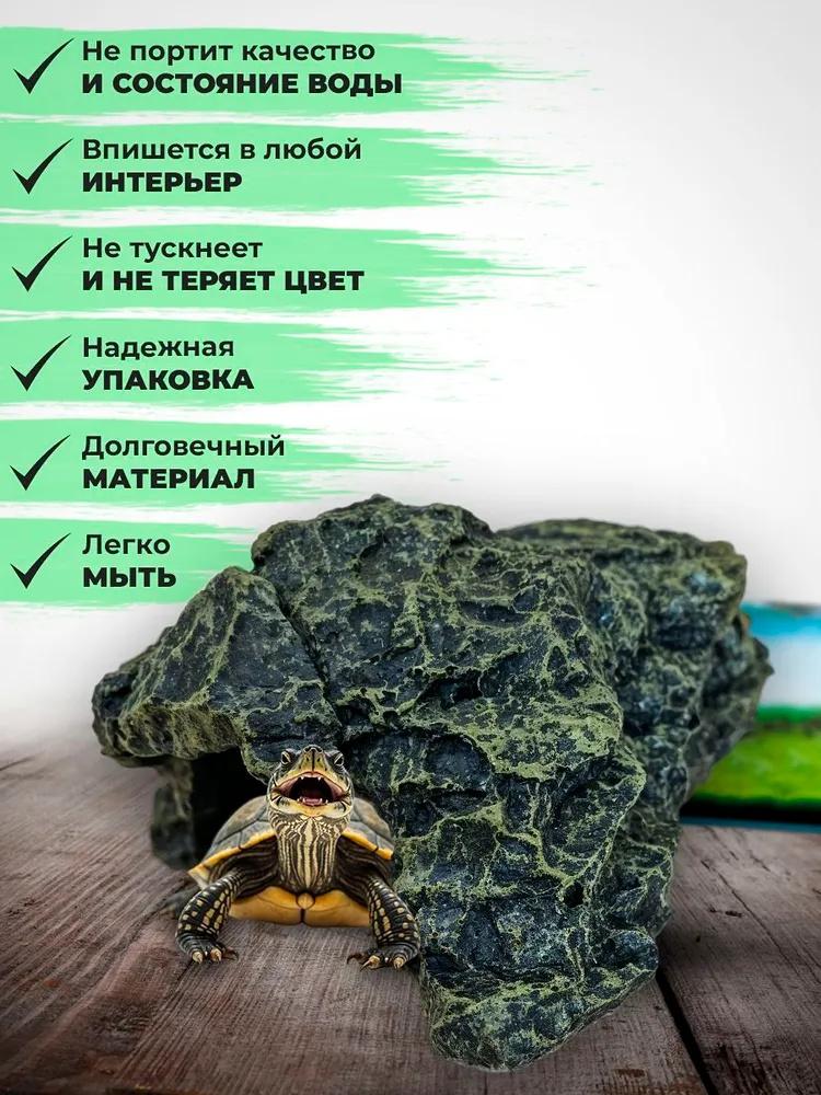 Lebende Schildkröte sonnenbadend Haustier kletternd Schildkröte kletternd Felsenlandschaft Wasserschildkröte sonnenbadend Schildkrötenhöhle