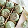 6/8/10CM Electroplated Hanging Balls Green Xmas Tree Pendants Merry Christmas Decor  Party Favors