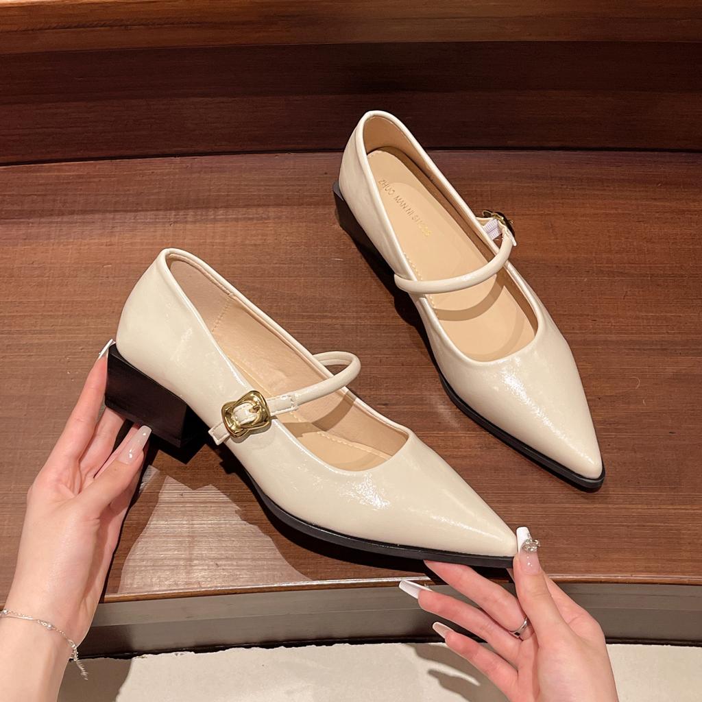 New Retro Style Thick Heel Women Mary Jane Shoes Fashion Shallow Pointed Toe Ladies Comfort Office Pumps Footwear Low Heel Shoes