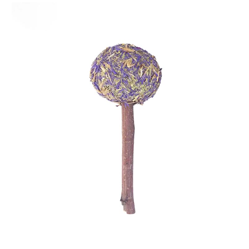 Królik Molar Lollipop Grass Ball Naturalne ręcznie robione artykuły dla zwierząt domowych dla chomików świnki morskiej szynszyli