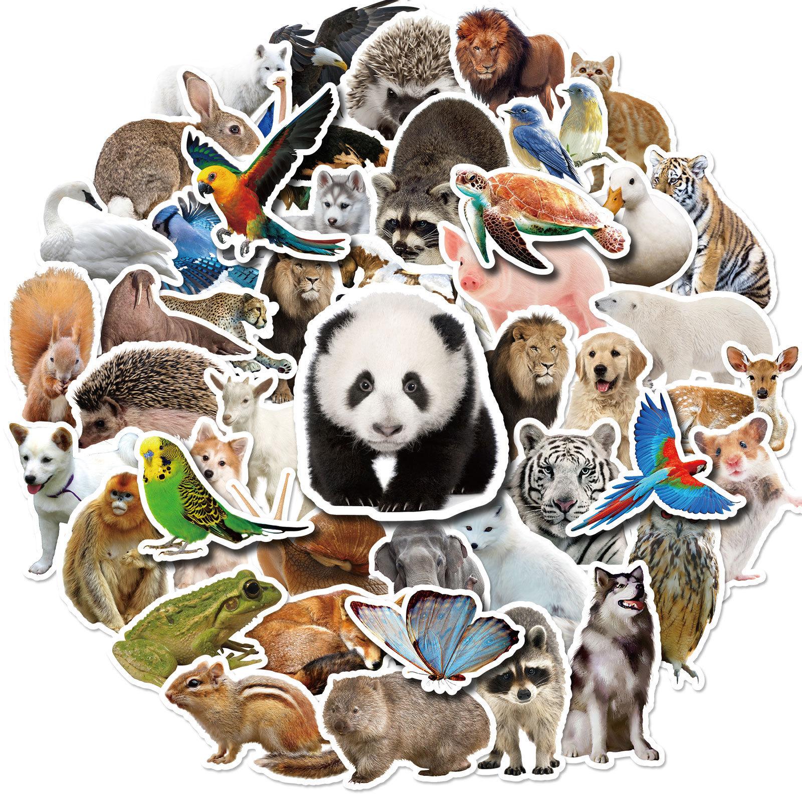 

200 realistic animal stickers natural animal graffiti stickers notebook skateboard suitcase waterproof stickers