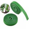 Green Plant Tie: Climbing Plant Shaping Tape for Branch and Flower Arrangement