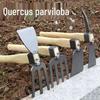 Zhi Zheng Multi-functional Garden Weeding Hoe