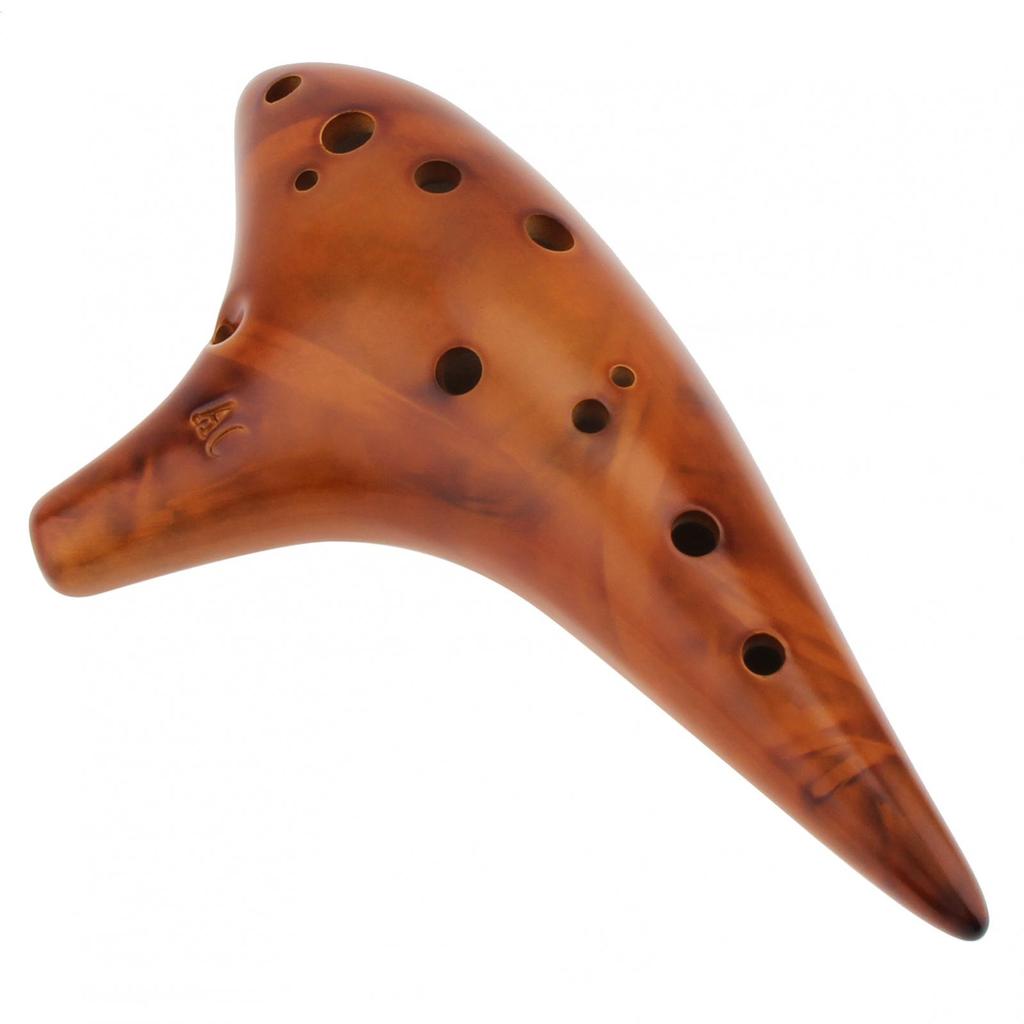 12 Holes Alto ToneC Ceramic Ocarina for Children / Adults / Beginners with Song Book Neck Cord Carry Bag,Good Musical Instrument