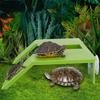 With Suction Cup Turtle Climbing Platform Turtle Basking Terrace  For Turtles Tortoise