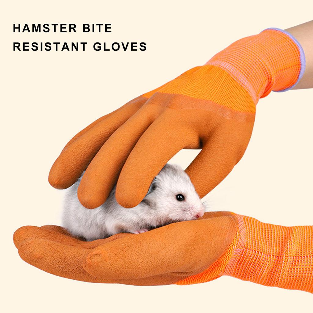 Kleine Huisdierverzorgingshandschoenen voor Hamsterbezitters Wasbaar en Bijtbestendig Hamsterhanteerhandschoenen voor Aaien Voeren Schoonmaken