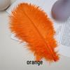 25-30cm Quality Thin Stem Orange