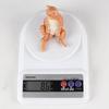 British Shorthair Kitten Simulation Toy - Cute Cognitive Birthday Gift for Kids