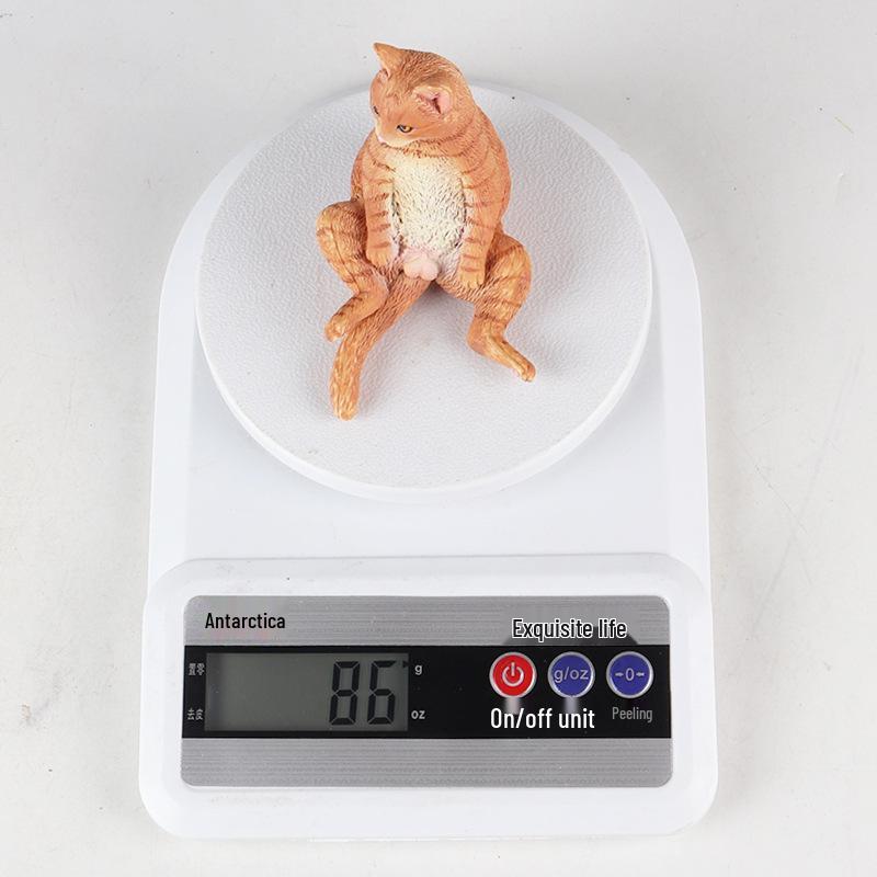 British Shorthair Kitten Simulation Toy - Cute Cognitive Birthday Gift for Kids