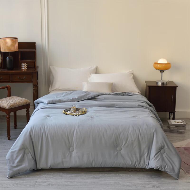 Lan Ruo Ting All-Season Soy Fiber Comforter