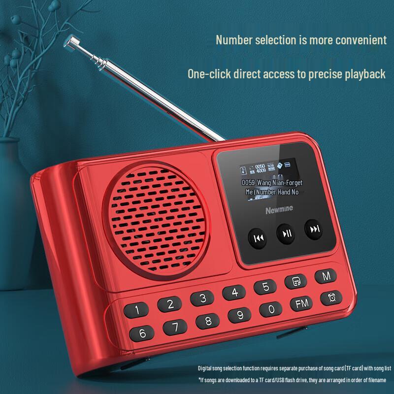 Newmine MX28 Portable Bluetooth Speaker with Radio CN plug (adapter included)