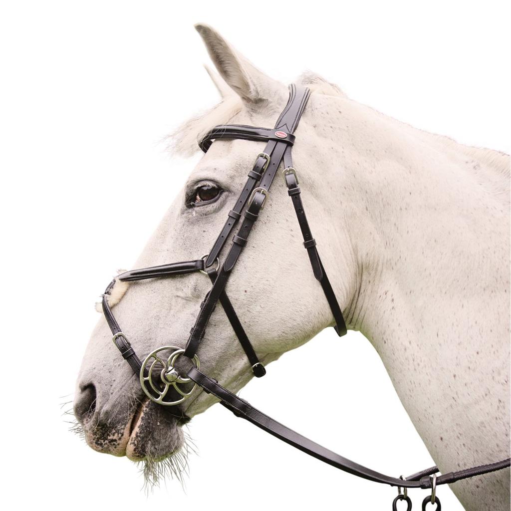 Whitaker Eastwood Mexican Leather Horse Bridle With Reins