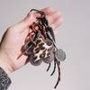 Leopardenblume Mini-Rucksack Hängende Handtasche Anhänger Tasche Anhänger Taschen Zubehör