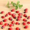 50/100Pcs Mini Wooden Ladybird Ladybug Self-Adhesive Sticker Children Painted Diy Crafts Fairy Garden Figurine Miniature Home De